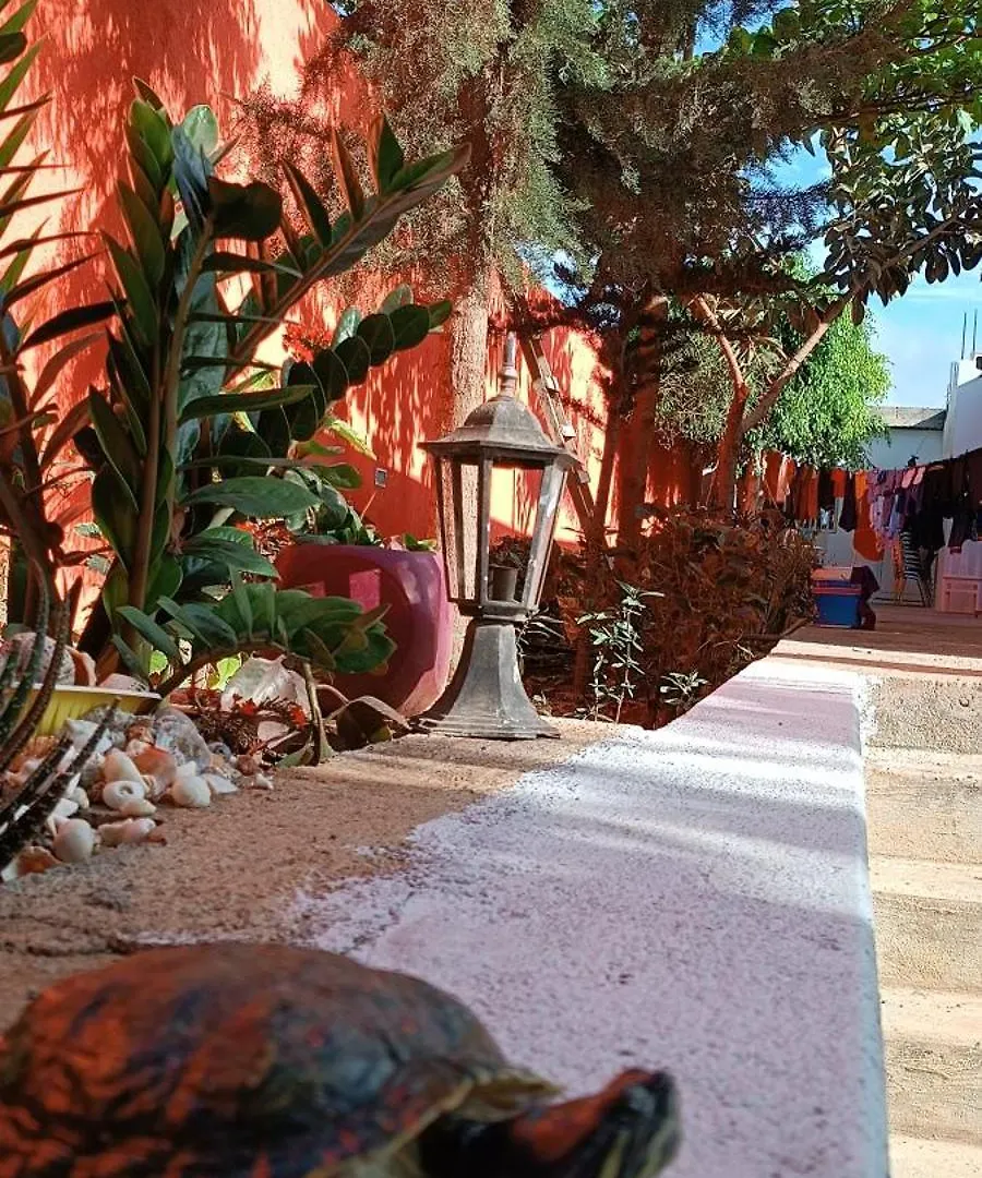Holiday home Residencia Aguia Villa Praia